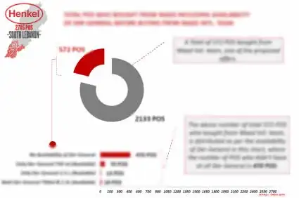 Henkel mapping report chart of points of sale in South Lebanon